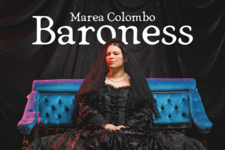 Baroness Mobile Banner