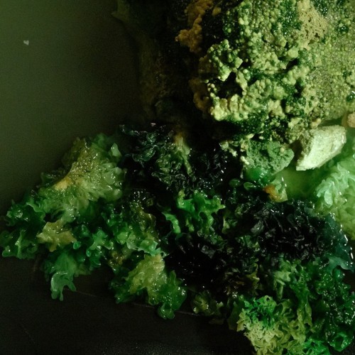 A swampy mess