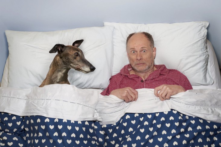 Social Animal Mobile Banner