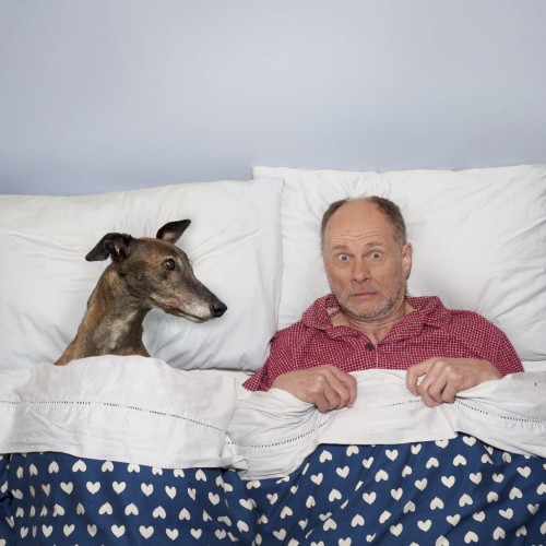 Stephen Papps and a greyhound lie in a double bed together. Stephen looks out surprised, the dog  looks at him. Stephen wears red PJs. The dog is a dark grey colour. The bed has white pillows and sheets.   