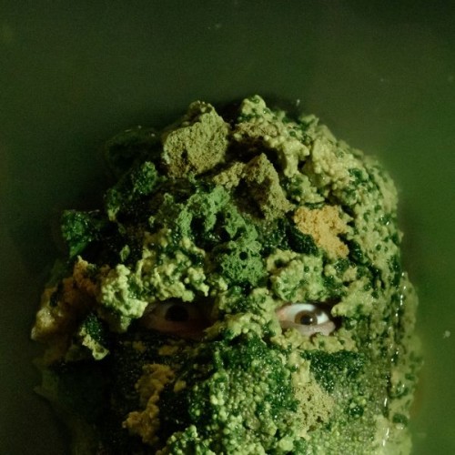 A swampy human head
